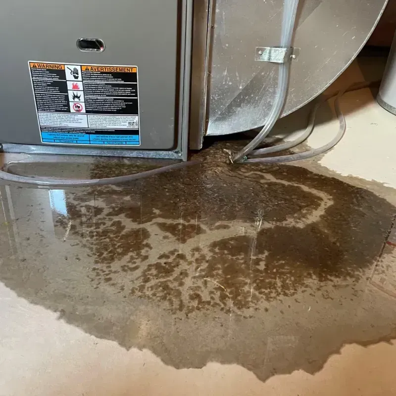 Appliance Leak Cleanup in Snyder County, PA